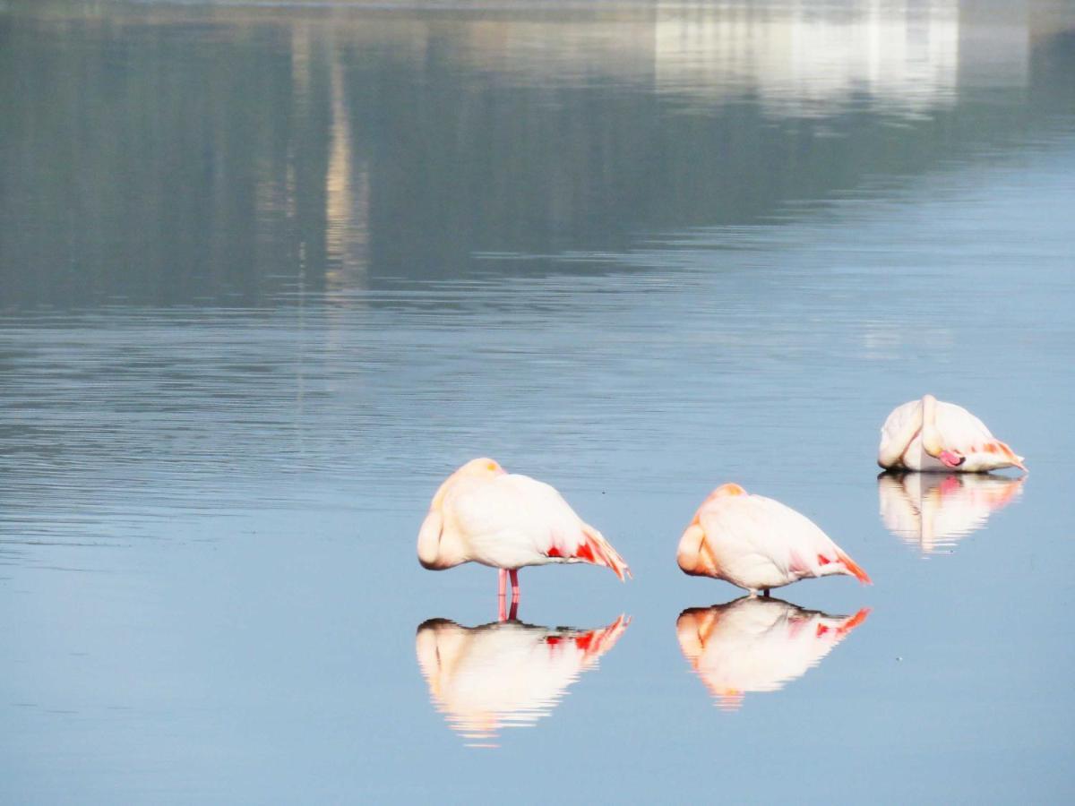 Panohome Porto Pino Bagian luar foto