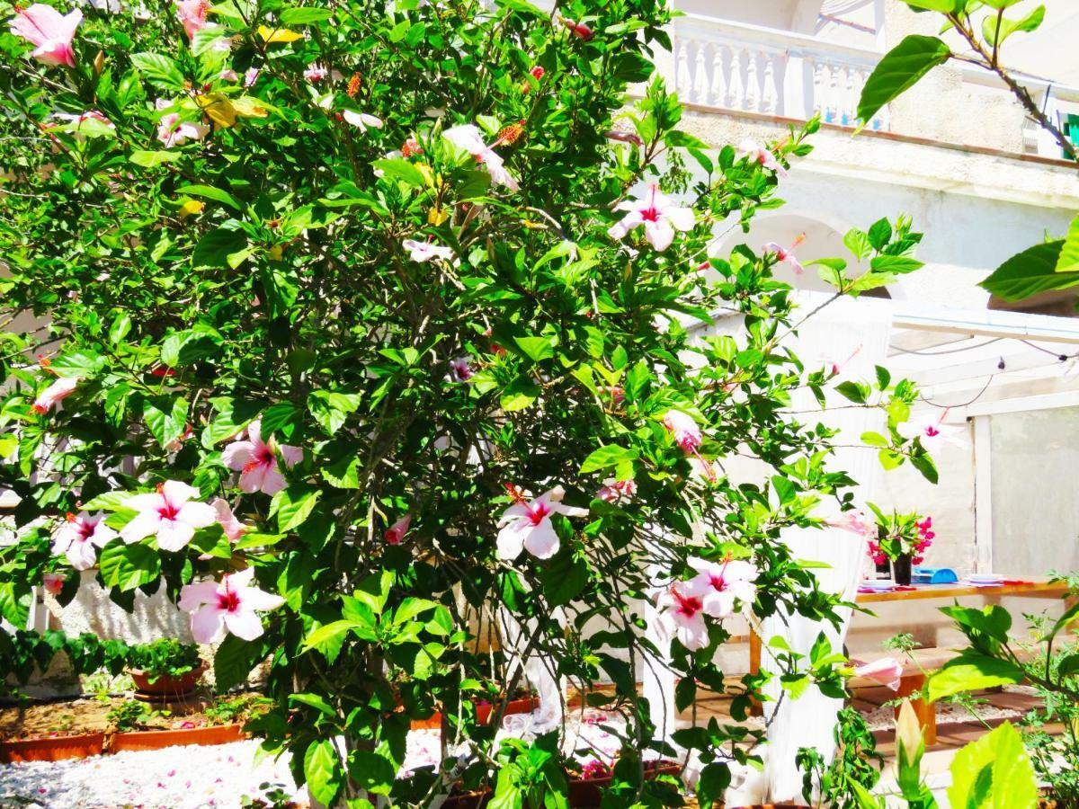 Panohome Porto Pino Bagian luar foto